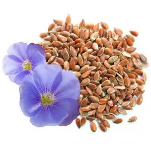 ТОП-5 здоровых продуктов из семян льна