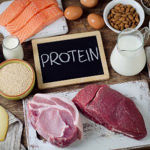 Здоровая белковая пища или что такое протеин